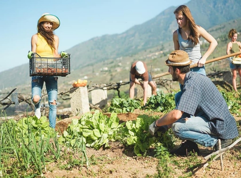 Agriculture
